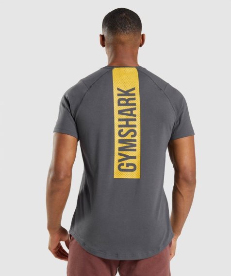 Koszulki Gymshark Bold Męskie Ciemny Szare | PL 013RWB